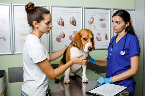 image for Don’t Save That Concern for Your Pet’s Next Checkup